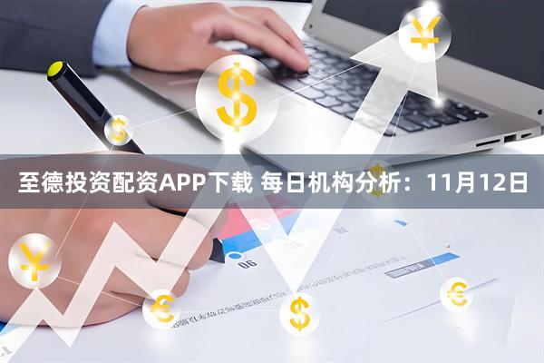 至德投资配资APP下载 每日机构分析：11月12日