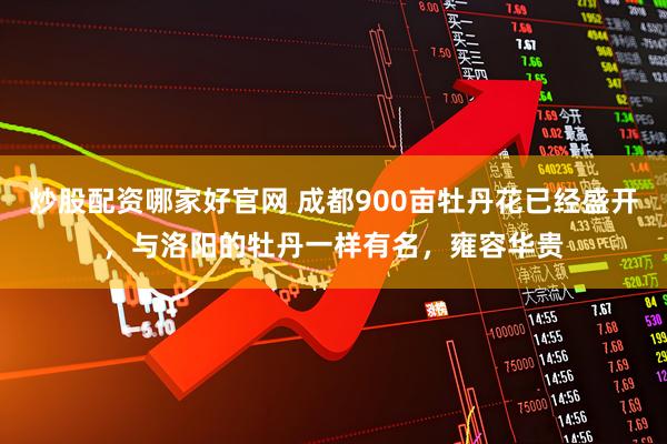 炒股配资哪家好官网 成都900亩牡丹花已经盛开，与洛阳的牡丹一样有名，雍容华贵